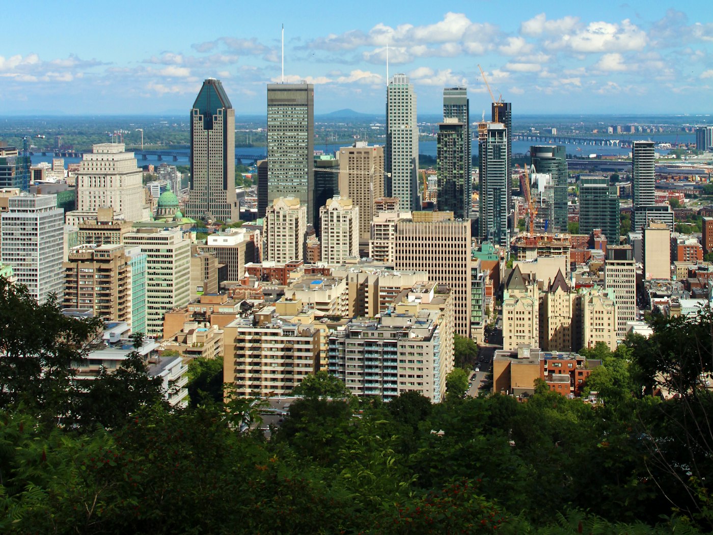 The Montreal skyline seen from the wooded slope of Mount Royal on a bright summer day.