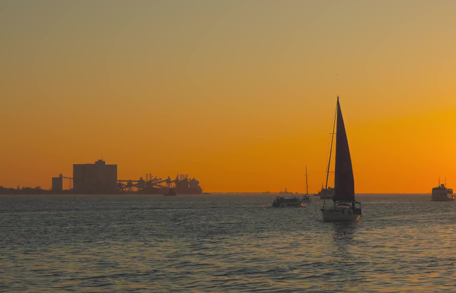 Sailboats under full sail on calm water, silhouetted against a sky turned entirely gold at sunset.